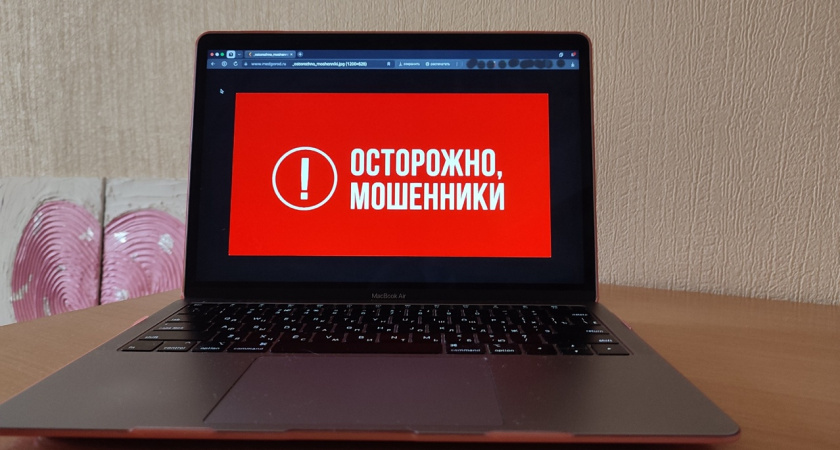 В Воронежской области раскрыли популярные схемы мошенничества с поддельными платёжными формами