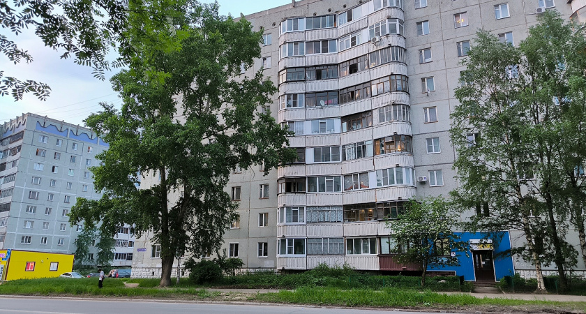 Полицейские спасли едва не выпавшего из окна пенсионера в Нововоронеже