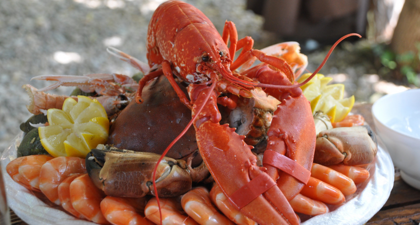 Ученые выделили самые полезные морепродукты - не креветки, не мидии и в 2 раза полезнее икры