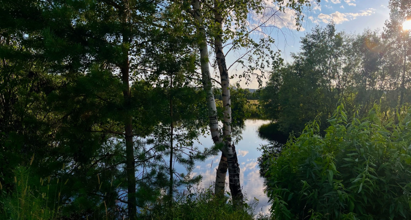 Лето в Воронежской области омрачено трагедиями на воде: за сезон утонули 13 человек, среди них — двое детей