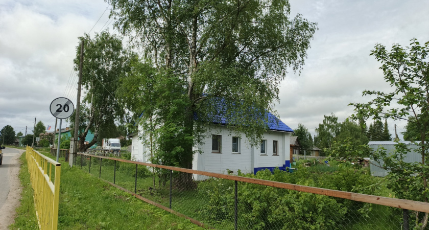 Лучше бы не сажала! 7 деревьев киллеров, губящие участки. Запомните эти породы