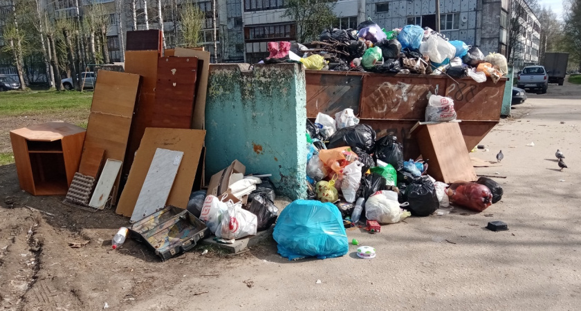 Воронежский застройщик заплатил большой штраф за создание свалки из строительного мусора