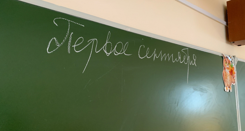 В школах  Воронежской области введут форму государственного образца