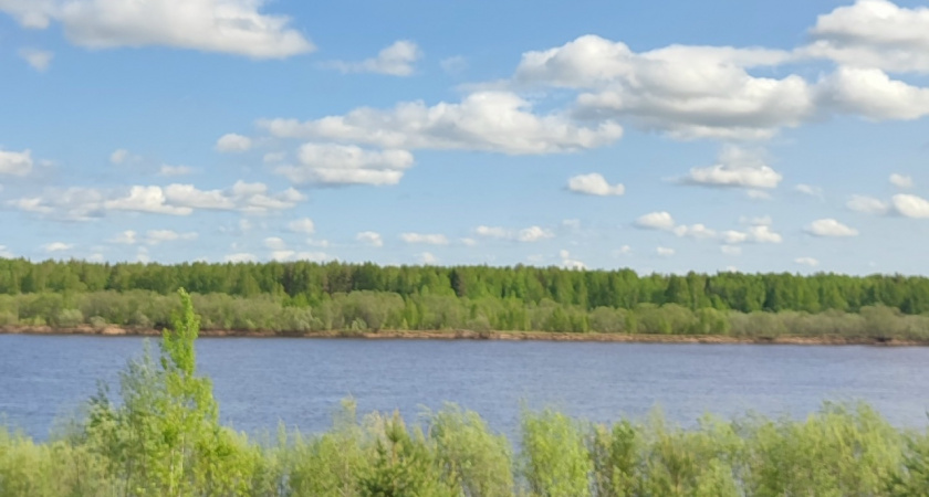 В Воронежской области 17 августа ожидается тёплая и солнечная погода