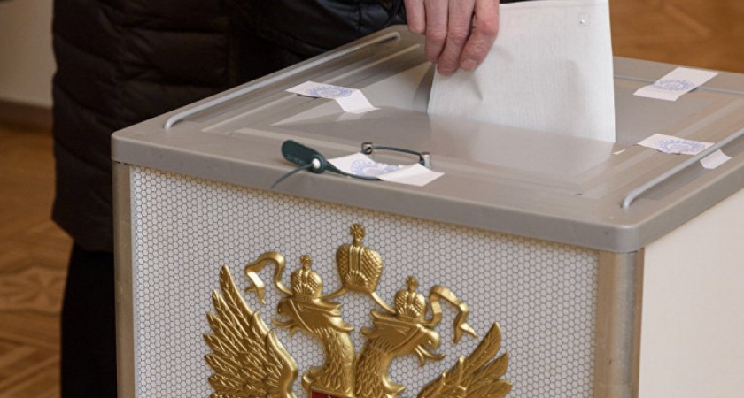  Началось адресное информирование избирателей Воронежской области