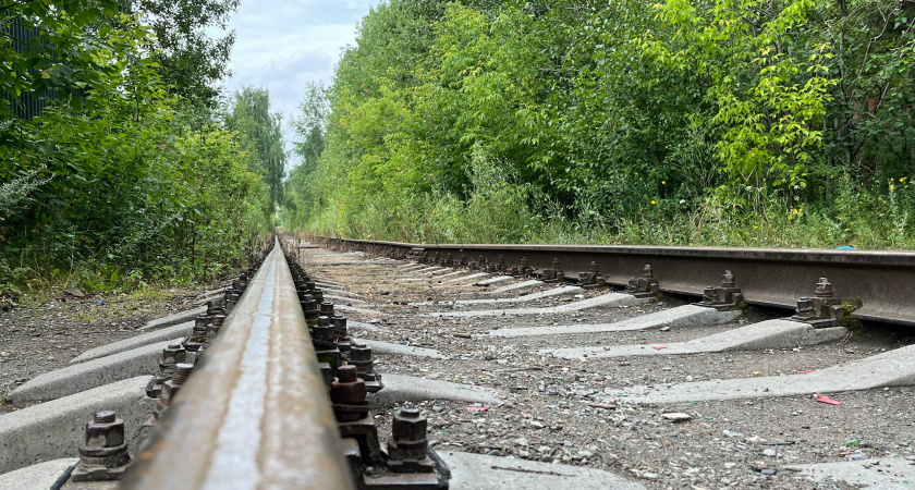 В Воронежской области трактор затянуло под колеса движущегося на полной скорости грузового поезда