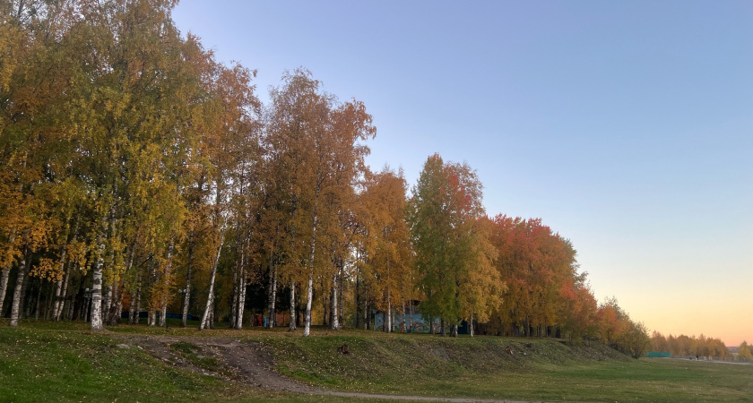 Воронежцев ждёт сокращенная рабочая неделя в конце осени