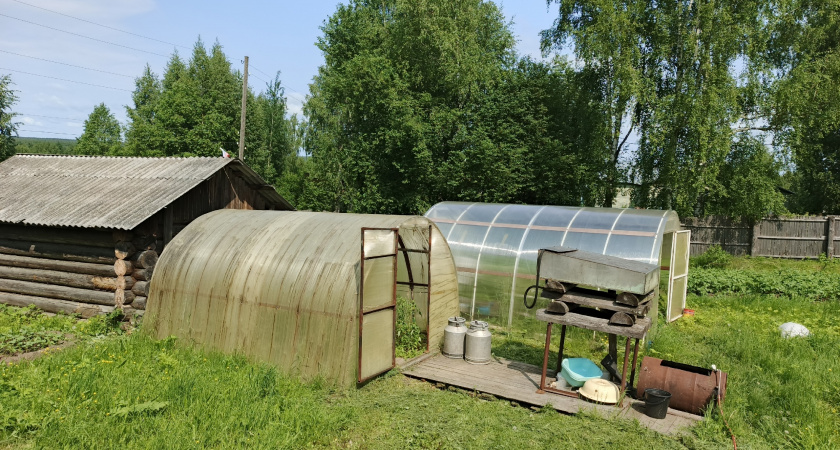 Теплицы нового поколения – поликарбонат уже прошлый век: найдено решение - более долговечная замена без трещин, пыли и грязи