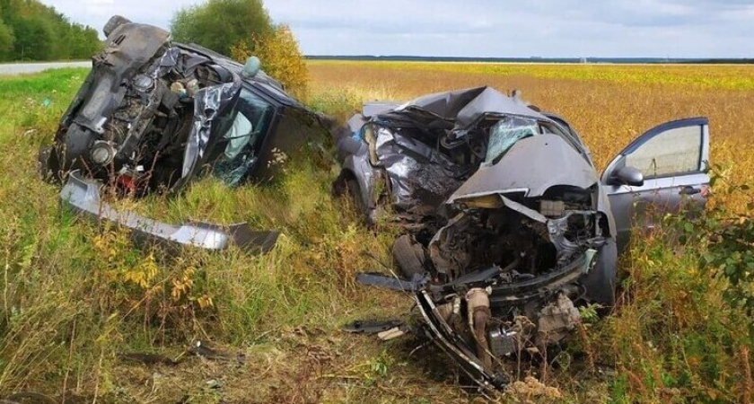 На трассе в Воронежской области столкнулись два автомобиля, один водитель погиб