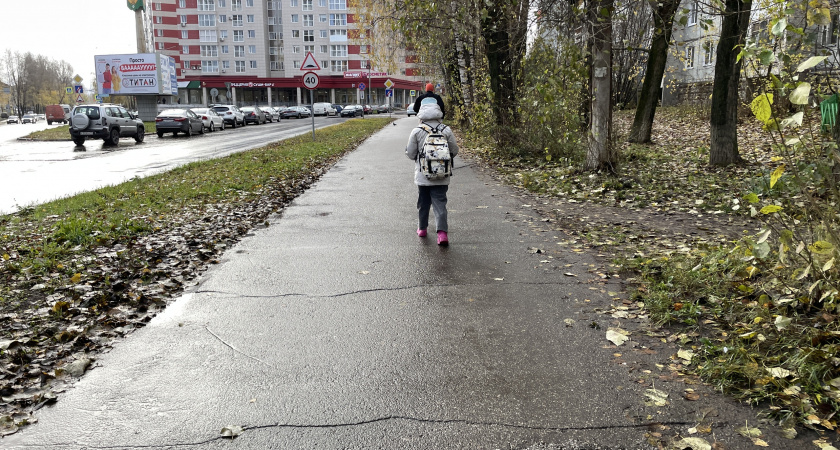 Следственный комитет Воронежской области проводит проверку в рамках поиска пропавшего мальчика