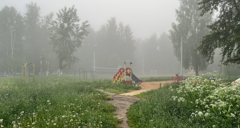 Небольшое похолодание: прогноз погоды в Воронежской области 12 сентября