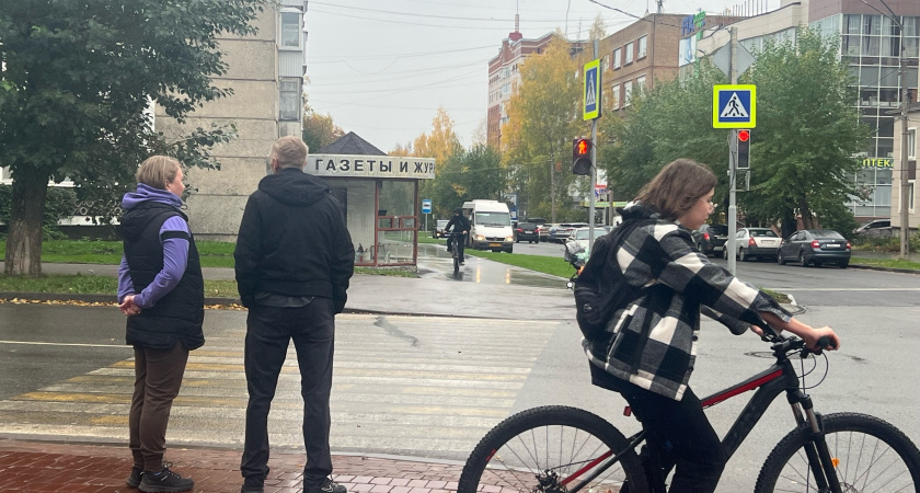 В Воронежской области пройдет профилактическая акция по контролю за пешеходами