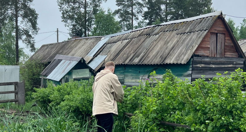 Садовод Самойлова: осенью сад нужно опрыскивать для хорошего урожая летом