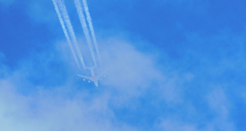 Воронежская область вошла в тройку городов, куда россияне чаще всего отправлялись спонтанно