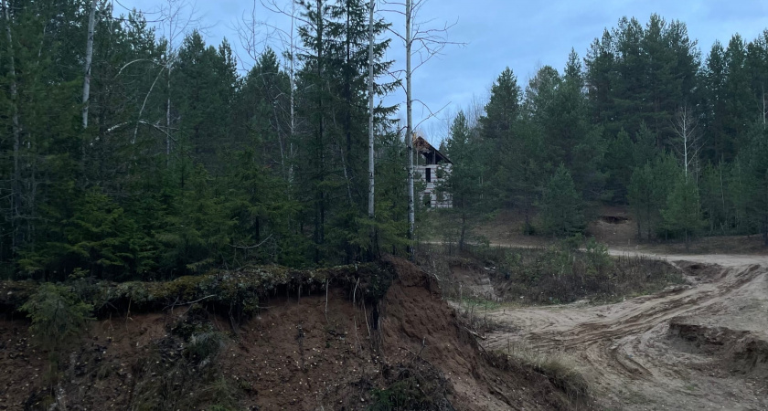 В Воронежской области области подтвердили факт незаконной добычи песка
