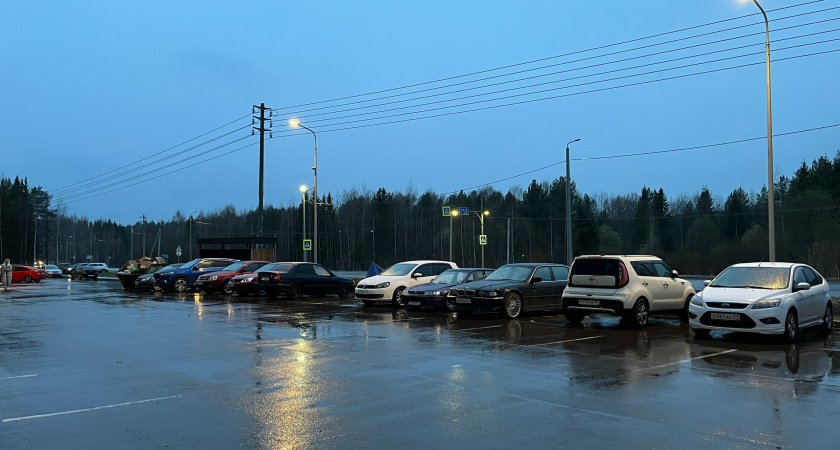 В Воронежской области ожидаются дожди и потепление до +15 градусов
