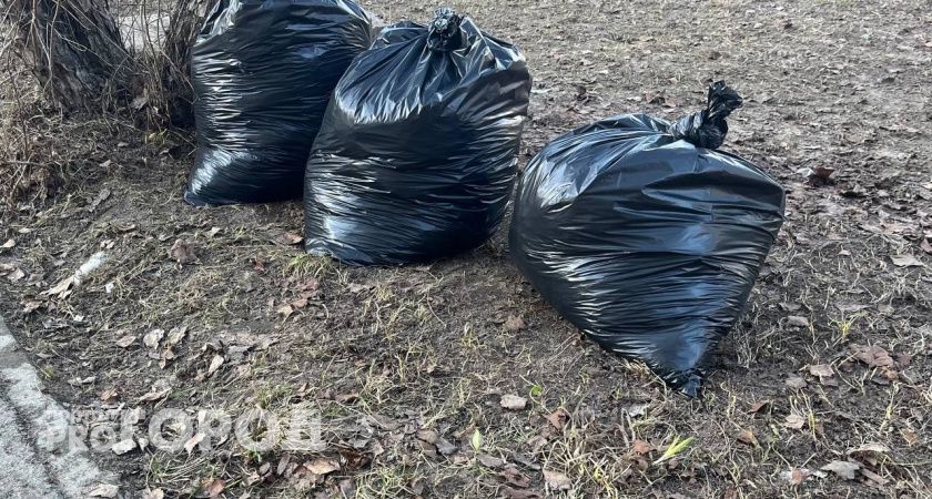 Жители Воронежской области в ходе субботника убрали 226 свалок и высадили около трех тысяч деревьев