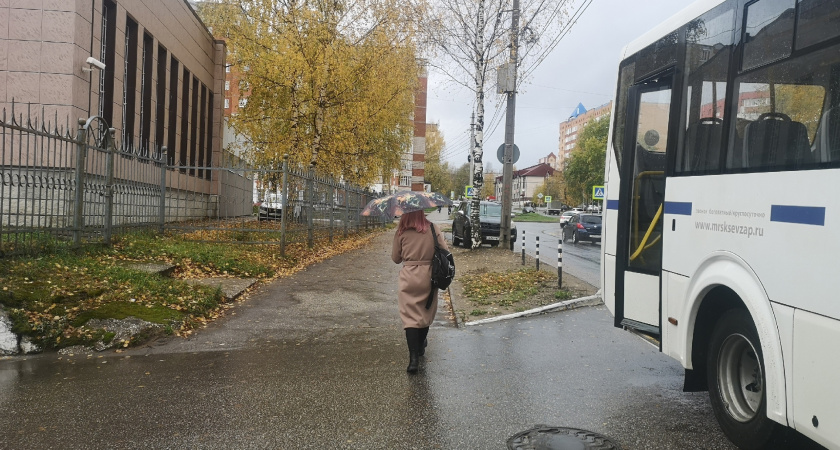 Печень "дурела с этой прикормки": как восстанавливали печень в СССР и почему так никто не делает сейчас