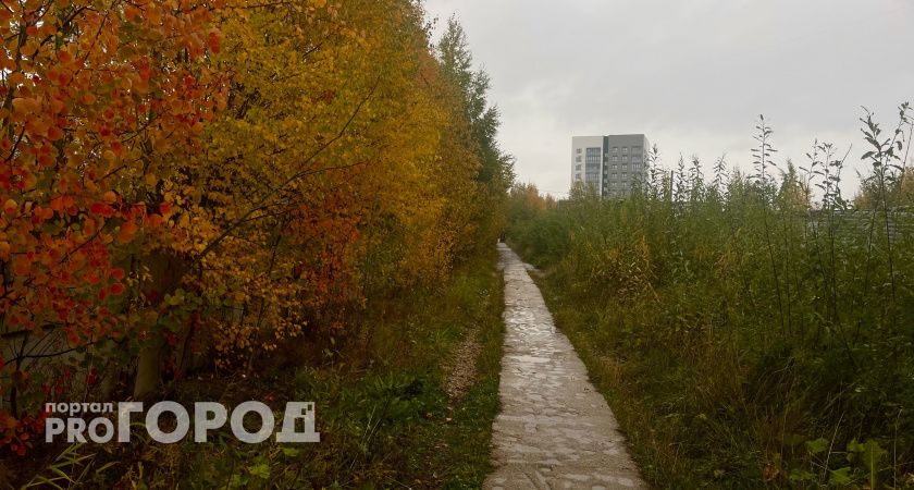 В Воронежской области синоптики прогнозируют пасмурную холодную погоду 22 октября
