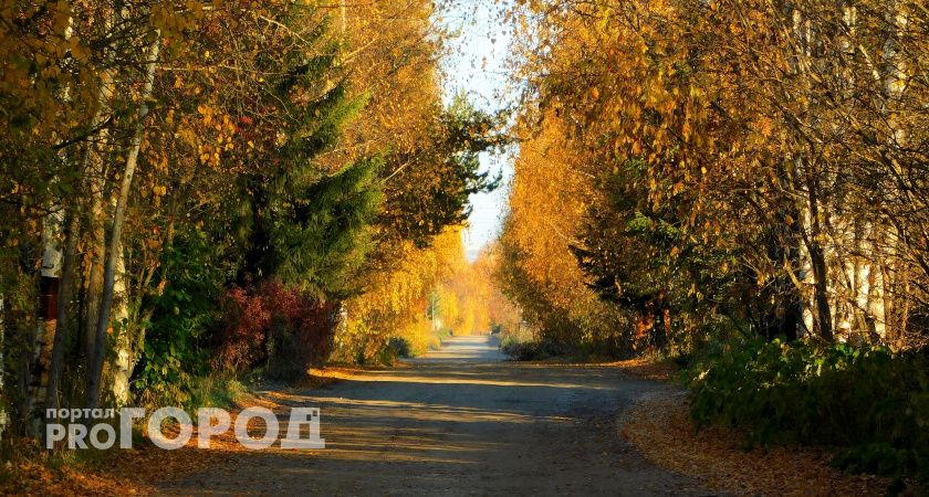 В Воронежской области 24 октября потеплеет до +13 градусов