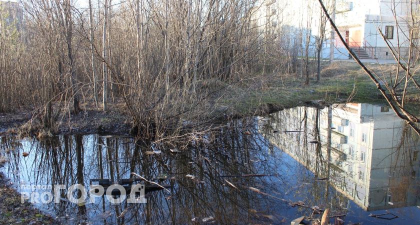 В Воронежской области нашли огромную незаконную свалку