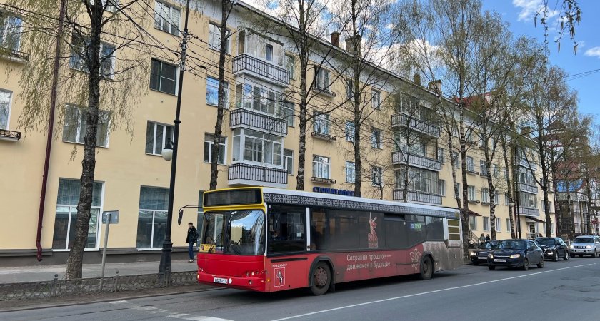 В Воронеже автобус сбил троих пешеходов на переходе