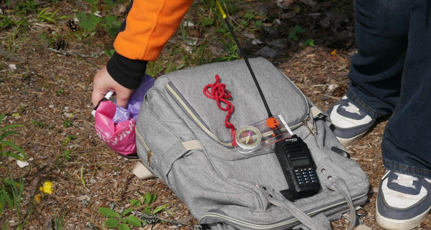 В Лисках ищут 20-летнюю девушку 