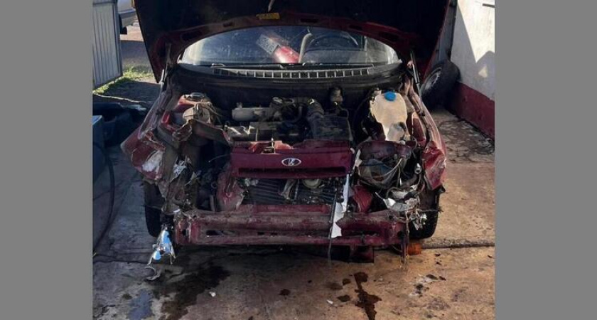 В Воронежской области авто "влетело" в падающее дерево