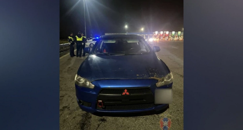 Воронежец накопил 113 штрафов на 93 тысячи и лишился авто