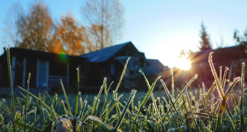 В Воронежской области 30 октября температура воздуха упадет до 0 градусов 