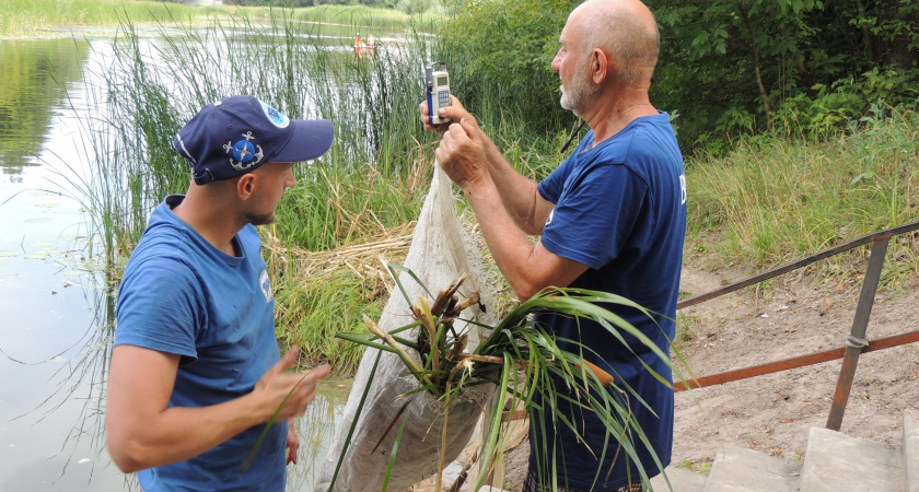 В реки Воронежской области планируют выпустить 400 тысяч рыб разных видов