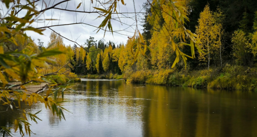 1 ноября Воронежскую область охватит осеннее ненастье с дождями