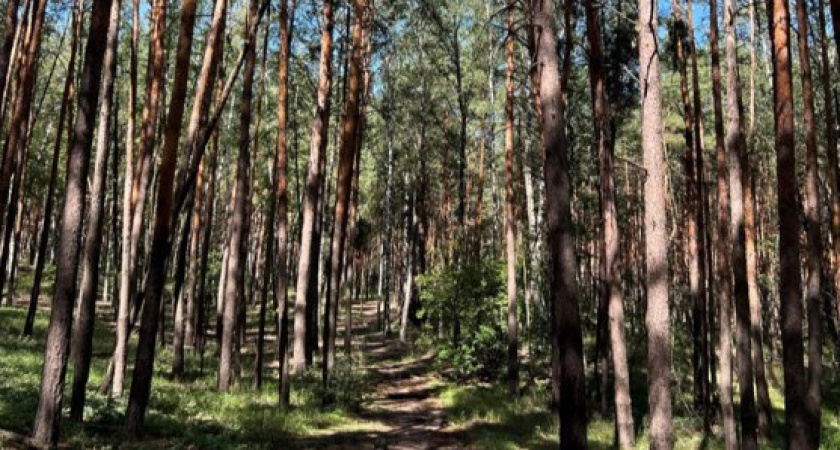 Сохранить природное наследие Воронежской области поможет создание заповедной зоны в Таврово