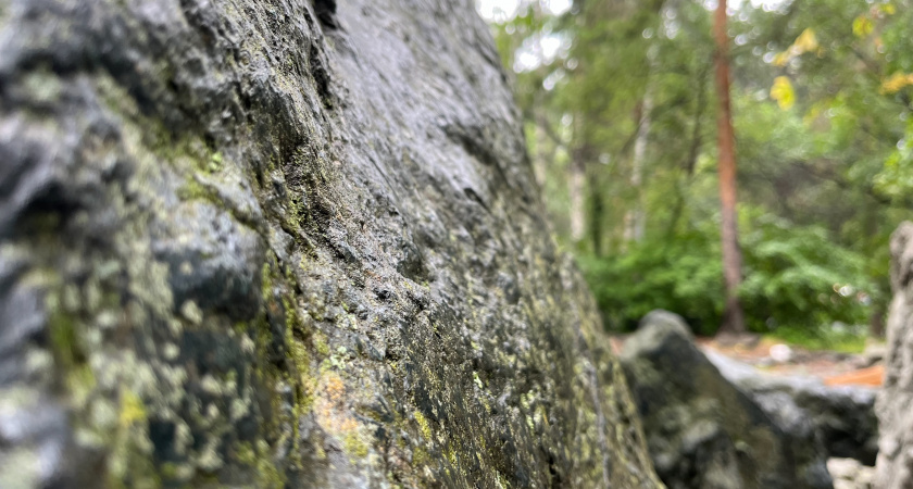 В Воронежской области обнаружены захоронения бронзового века