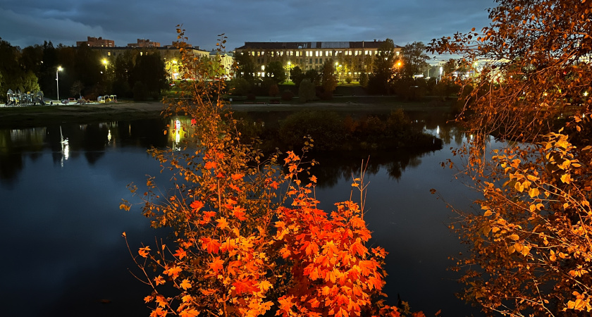 Новая неделя в Воронежской области начнётся с тёплой погоды