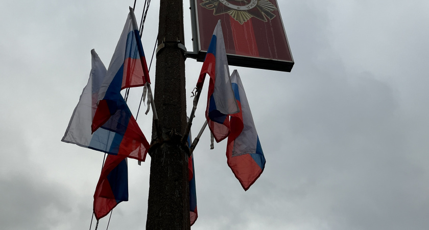 Власти Воронежской области поздравили жителей с Днём народного единства