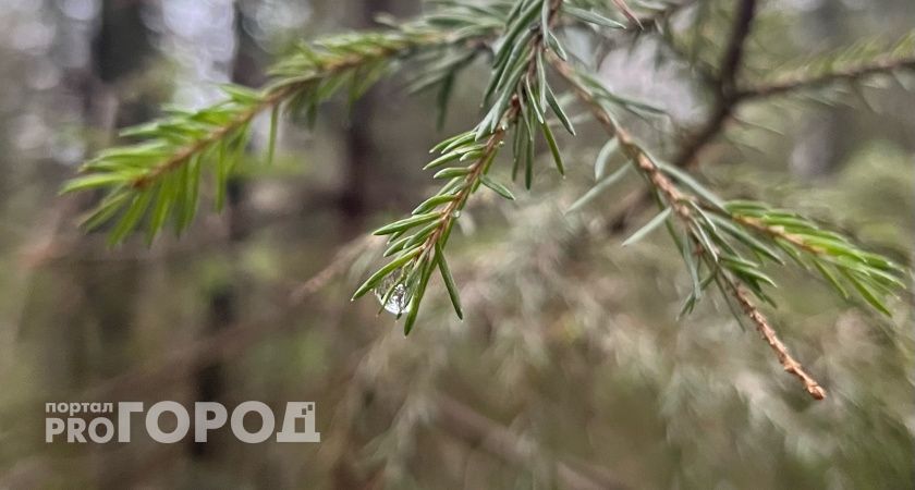 В Воронежской области 5 ноября температура воздуха упадет до -1 градуса