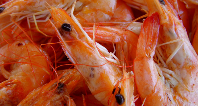 Ученые назвали самые полезные морепродукты - не креветки, не кальмары и в 4 раза полезнее икры