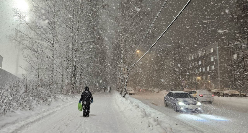 Вильфанд в полнейшей растерянности: на Россию надвигается погодная аномалия. Какую погоду стоит ждать в ноябре