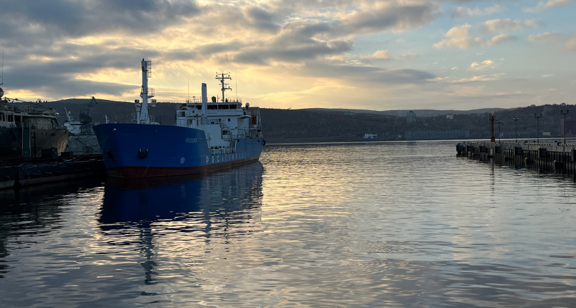 В лискинском порту при загадочных обстоятельствах погибли два рабочих