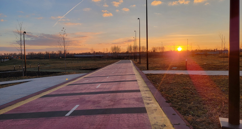 Воронежскую область 8 ноября ждёт тёплый и солнечный день без осадков