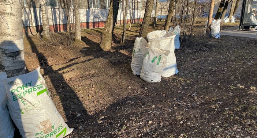 В Лисках коммунальные службы завершают осеннюю уборку общественных пространств