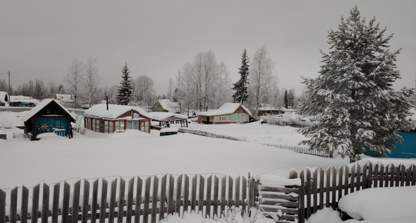 Сыпьте, пока не поздно: какое удобрение рассыпаю по снегу в ноябре для суперурожая