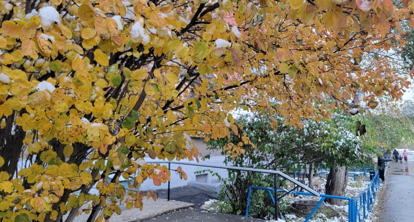 Резкое похолодание: прогноз погоды в Воронежской области на 19 ноября