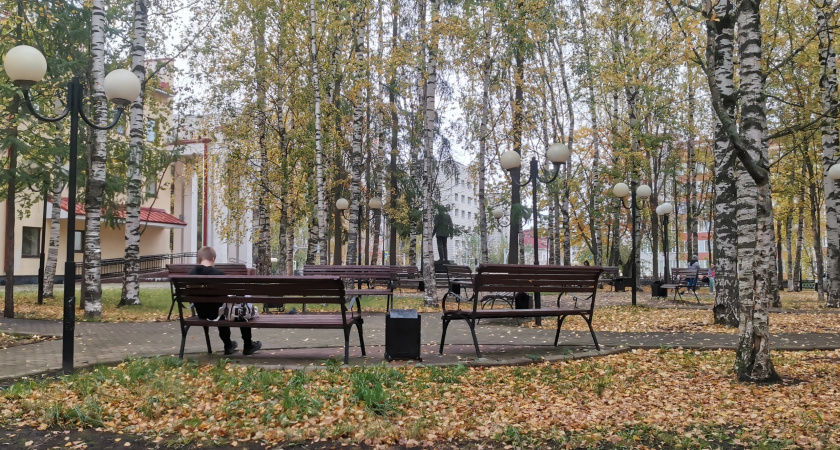 Общественники благоустроили зону отдыха в поселке Давыдовка Лискинского района 