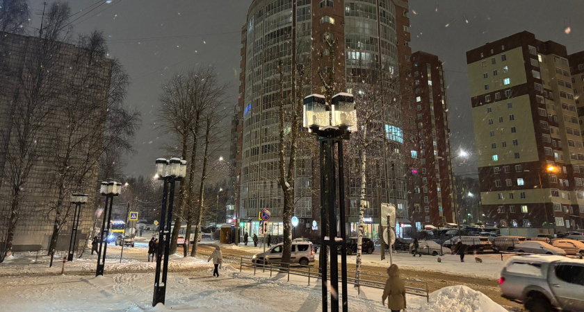 В Воронежской области вернётся прохладная и влажная погода