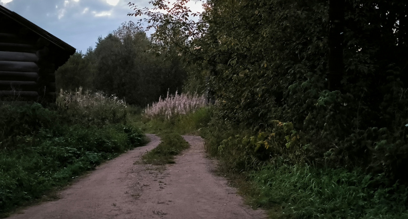 Под Воронежем мужчина ударил ребёнка за вопрос об уточнении направления пути