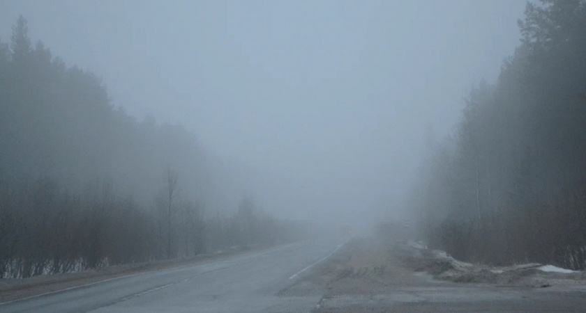 Туман и небольшие заморозки: прогноз погоды в Воронежской области на 27 ноября