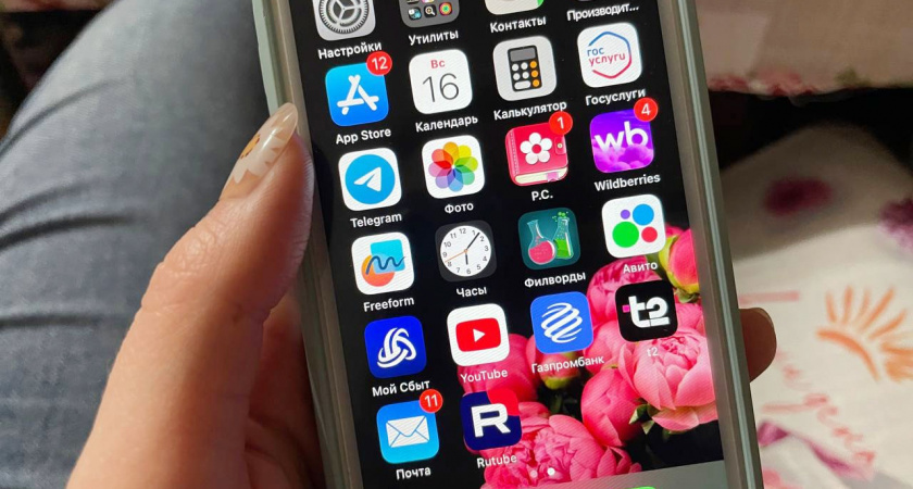 В Воронежской области опубликовали "белый список" сайтов  и мессенджеров