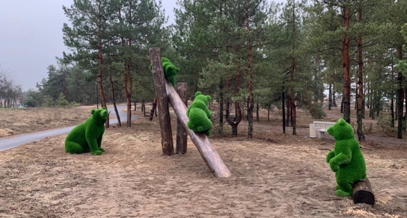 Красивый топиарий появился в лискинском сквере